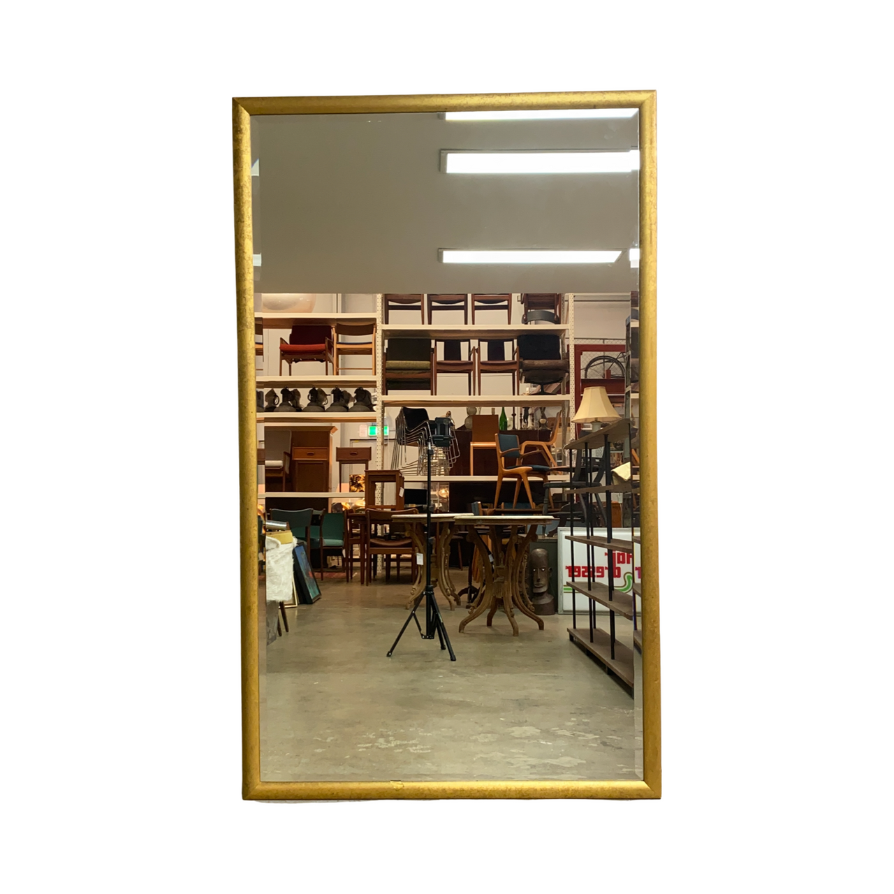 Large Vintage Gold Framed Floor Mirror
