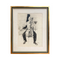 Mid Century Framed Pencil Drawing of Cellist by Frank Beck 1977