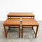 Parker Mid Century Nesting Coffee Tables