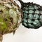 Vintage Glass Fishing Float Buoys - 2x available