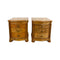 Pair of Parquetry Top Bedside Cabinets