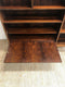 Mid Century Brazilian Rosewood Cabinet w/Shelving