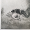 Norman Lindsay 'Robin Hood 1928 Photogravure Unframed