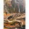 Retro Viktor Mednis Indigenous Australian Abstract Impressionist Art