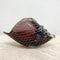 Vintage Bullicante Murano Purple Conch Shell Shape Art Glass Vase