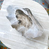 Large Clam Shell