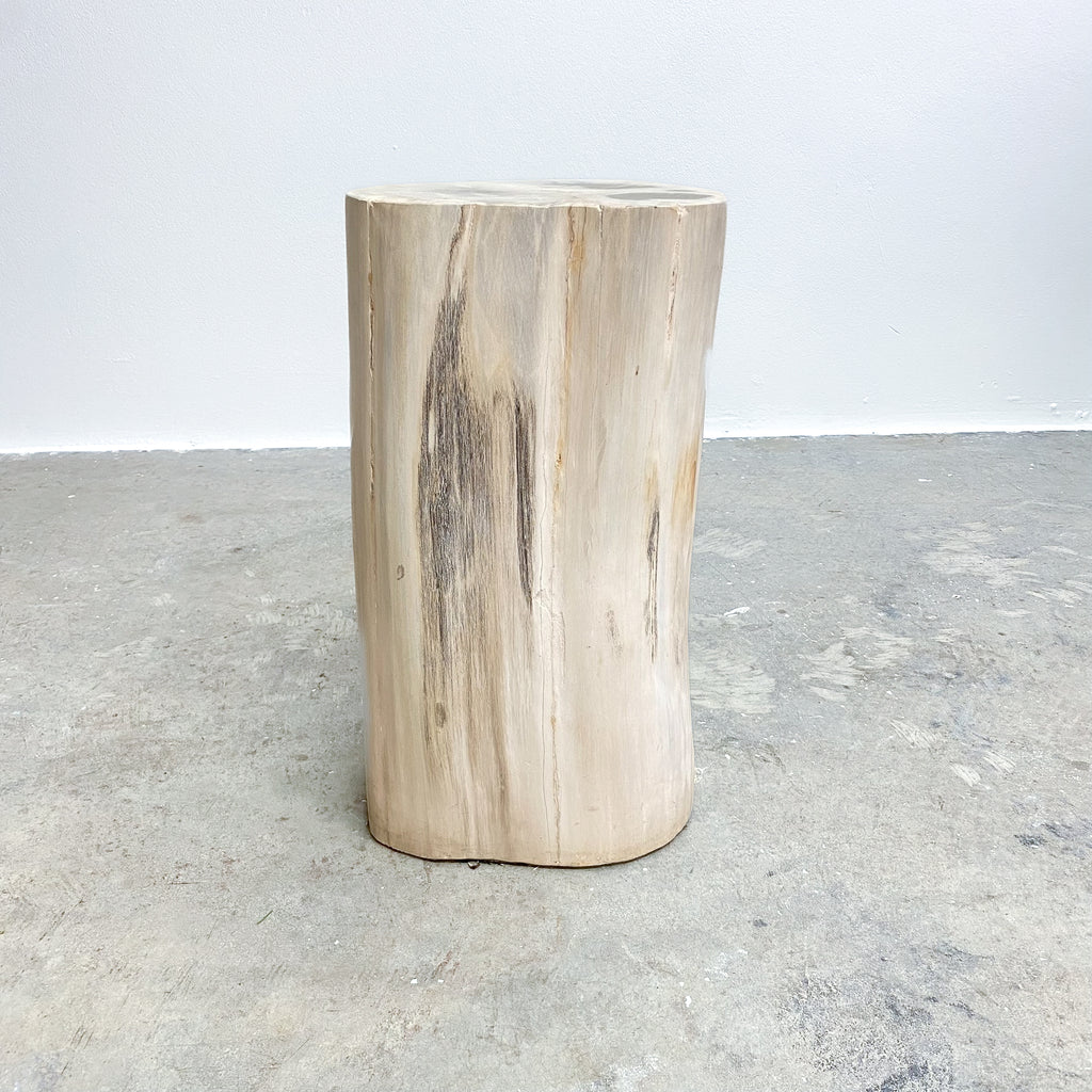 MediumPetrifiedwoodsidetable