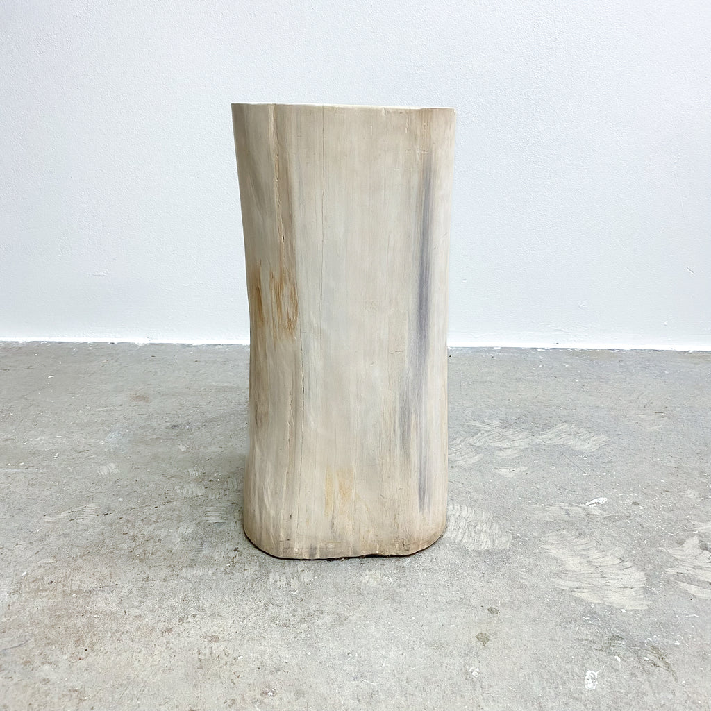 MediumPetrifiedwoodsidetable