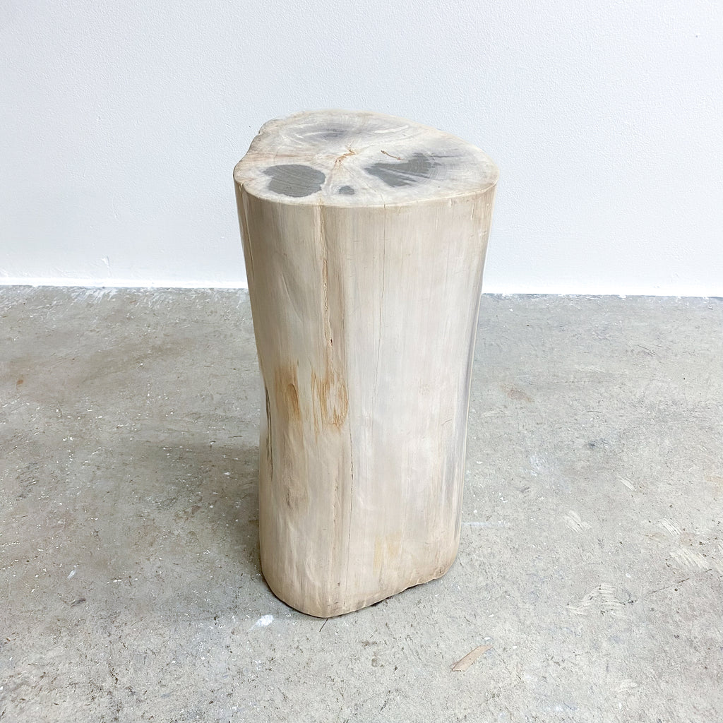 MediumPetrifiedwoodsidetable