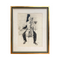 Mid Century Framed Pencil Drawing of Cellist by Frank Beck 1977 