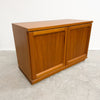 Mid Century Parker 1984 Lowline Record Cabinet