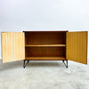 Mid Century Record Cabinet With Adjustable Shelf