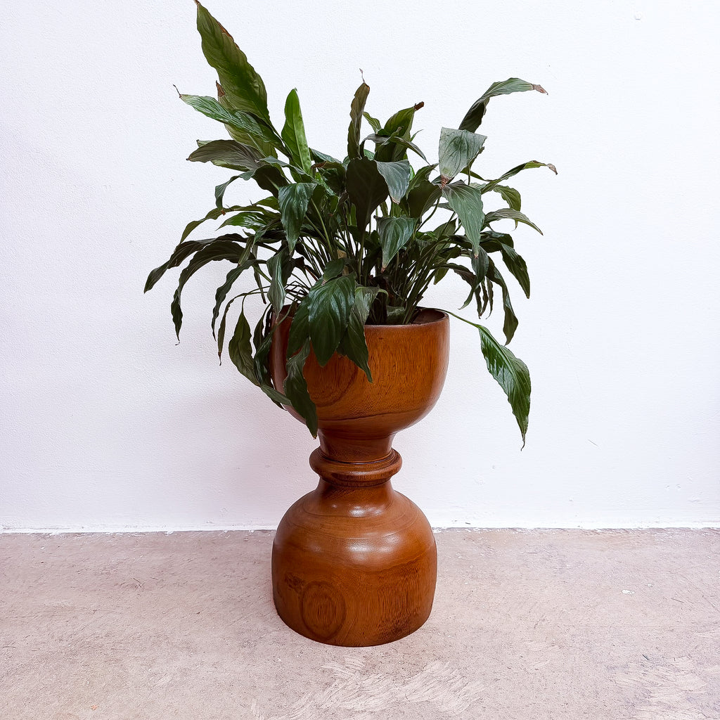 Mid Century Sculptural Palmwood Planter