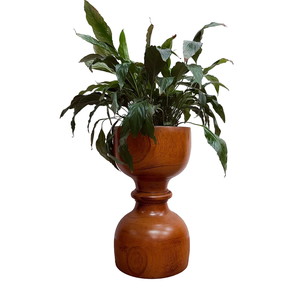 Mid Century Sculptural Palmwood Planter