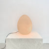 Mondoluce Egg Shaped Table Lamp 