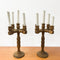 Pair Of Raw Teak Mid Century Candelabra