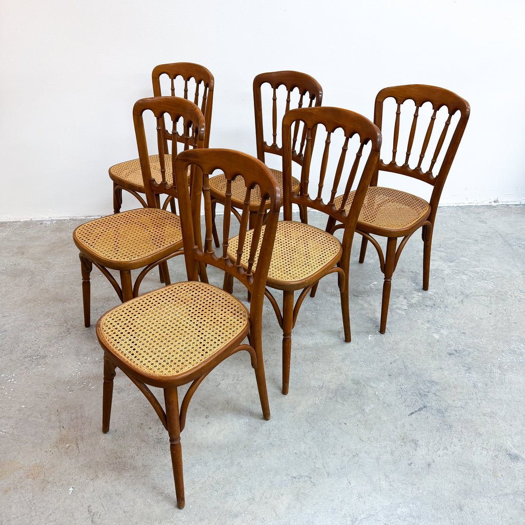 Set Of 6 Mid Century Bentwood And Rattan Dining Chairs By Ligna