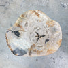 Petrified fossilised wood side table