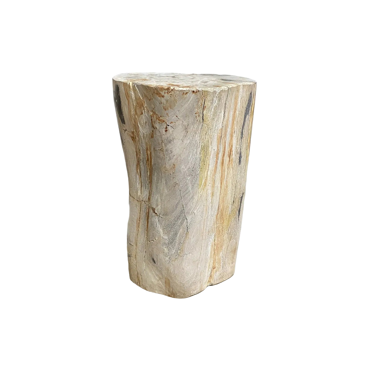 Petrified fossilised wood side table