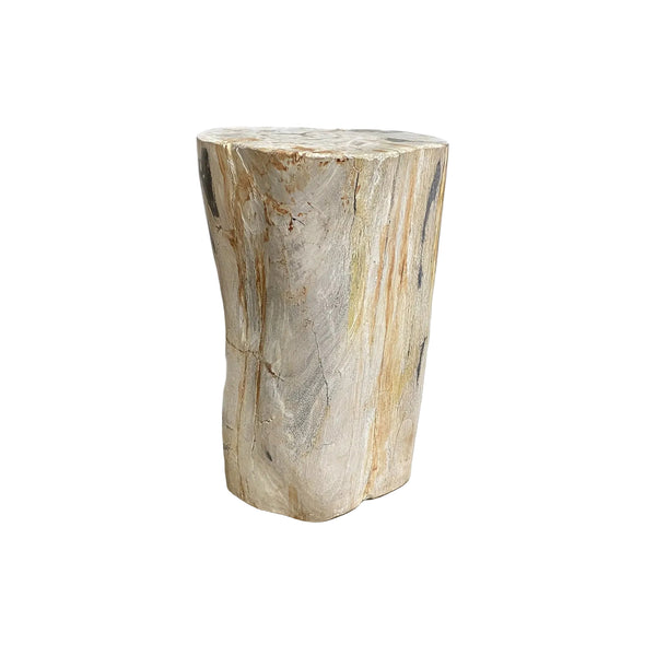 Petrified fossilised wood side table