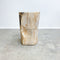 Petrified fossilised wood side table