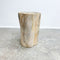 Petrified fossilised wood side table
