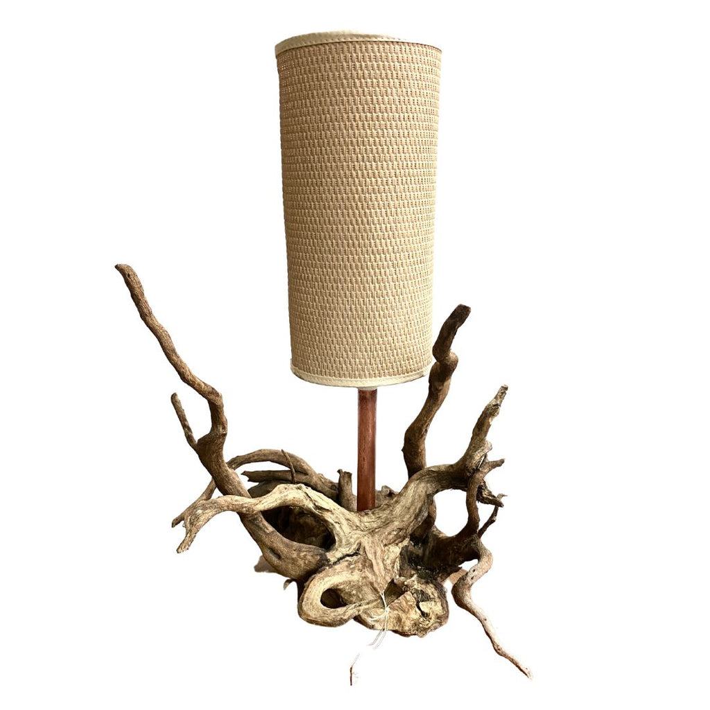 Ninroot Lamp Unique Tree Root Lamp– The Design Ark