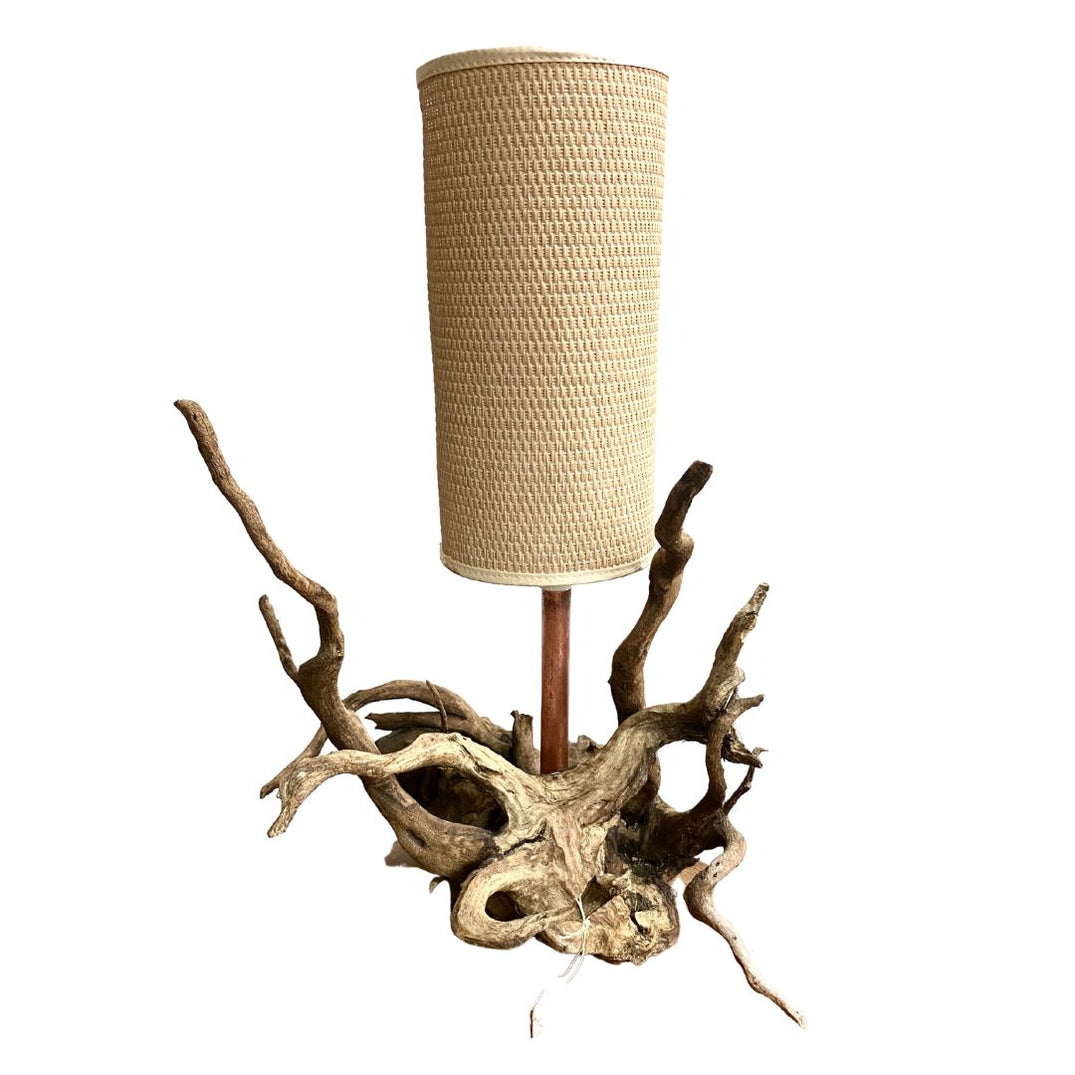 Unique Tree Root Lamp– The Design Ark