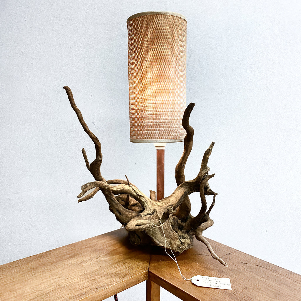 Unique Tree Root Lamp