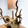 Unique Tree Root Lamp
