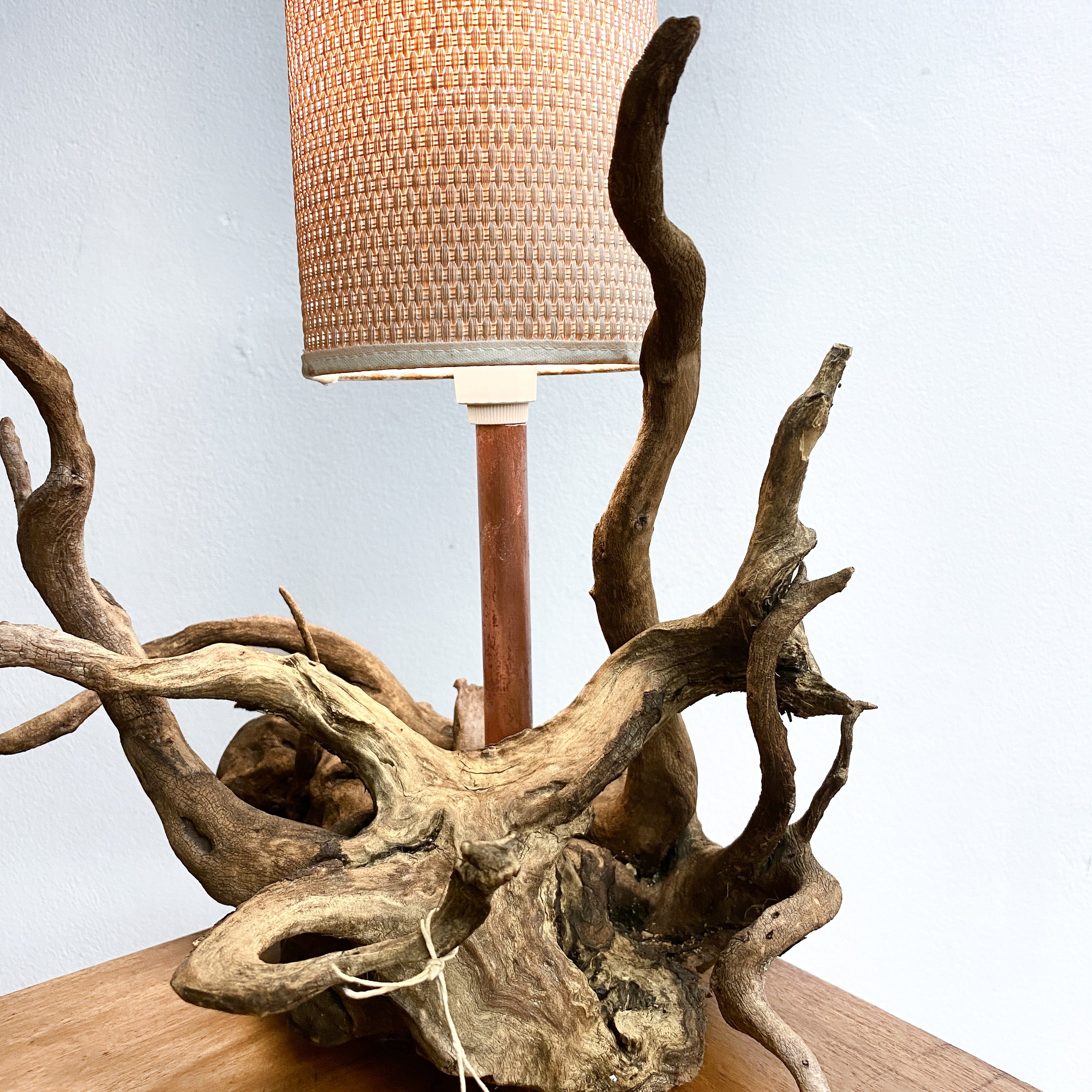 Unique Tree Root Lamp– The Design Ark