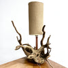 Unique Tree Root Lamp
