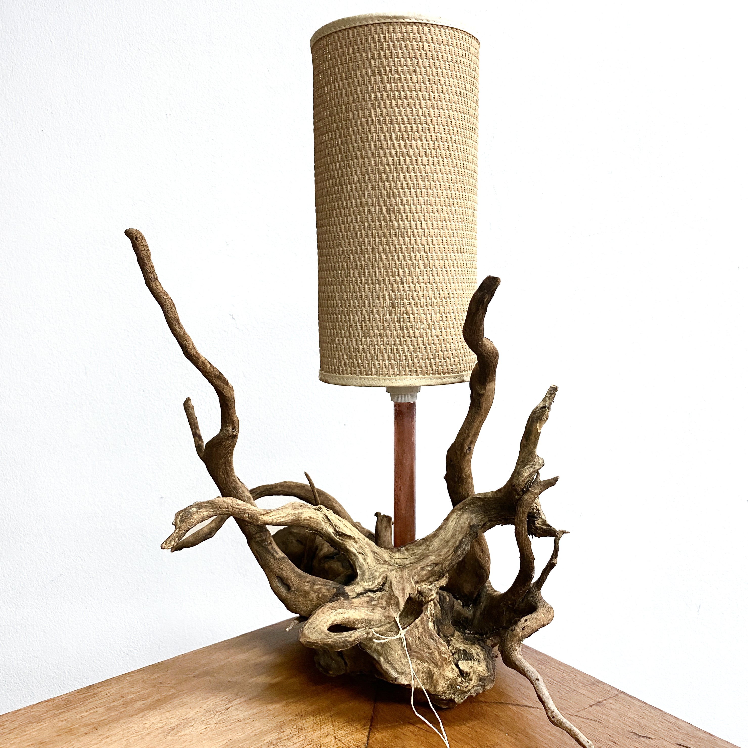 Unique Tree Root Lamp– The Design Ark
