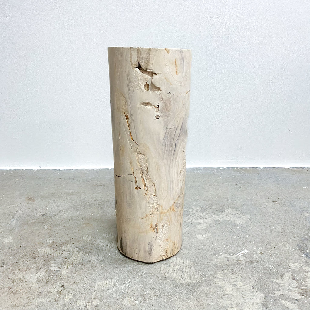 largePetrifiedwoodsidetable