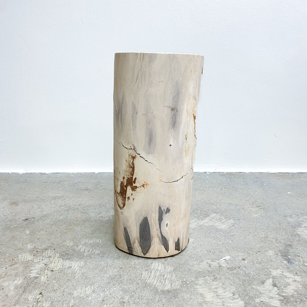 largePetrifiedwoodsidetable