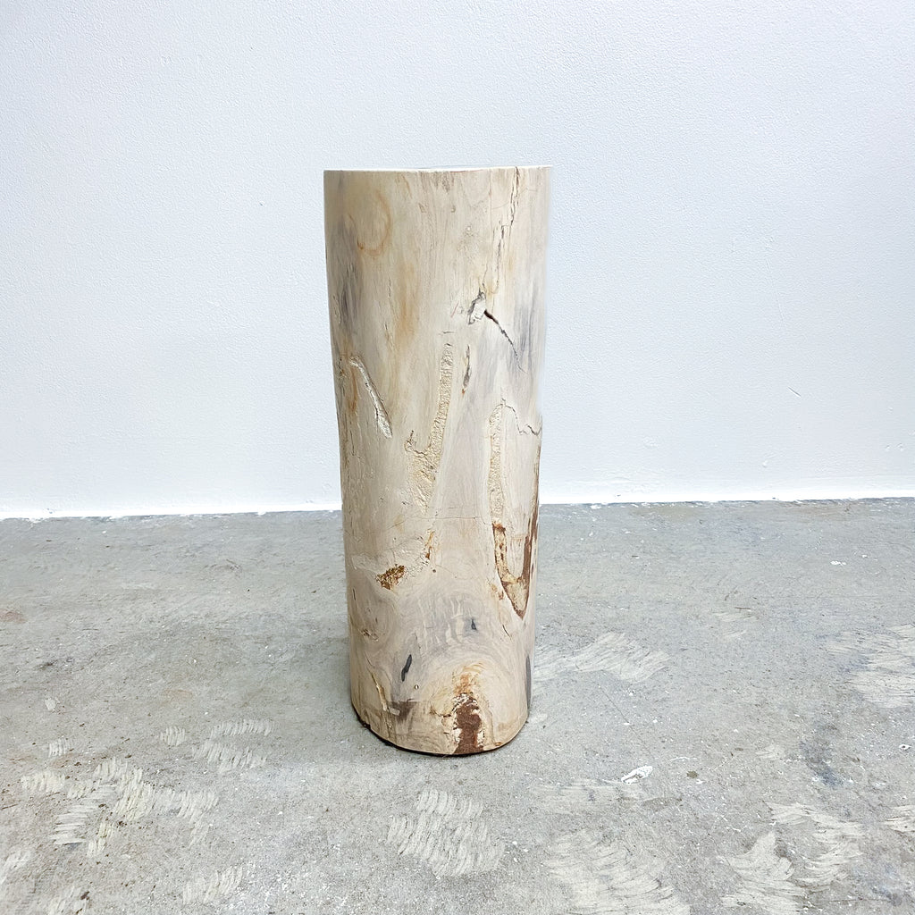 largePetrifiedwoodsidetable