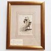 Antique Hand Coloured Engraving