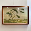 Mid Century Print in original frame of watercolour ‘Pines on Dunes’ 