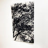Black & White Tree Graphic By Marimekko