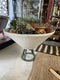Large Conical Willy Guhl Mid Century Vintage Planter w/Succulents