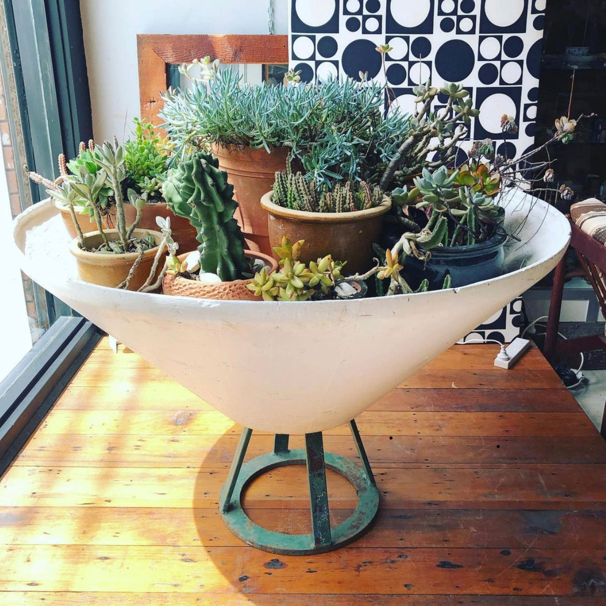 Large Conical Willy Guhl Mid Century Vintage Planter w/Succulents