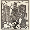 Original Margaret Preston Woodcut 1932 'Banksia' Framed