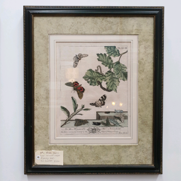 Moses Harris Hand Coloured Copper Engravings