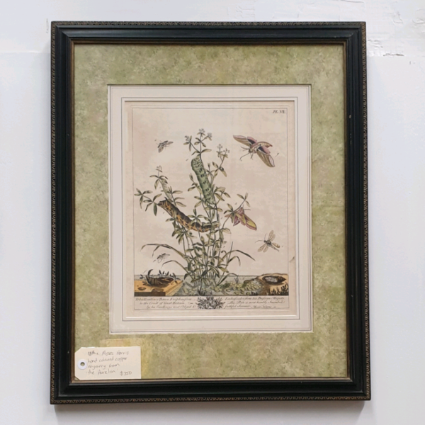 Moses Harris Hand Coloured Copper Engravings