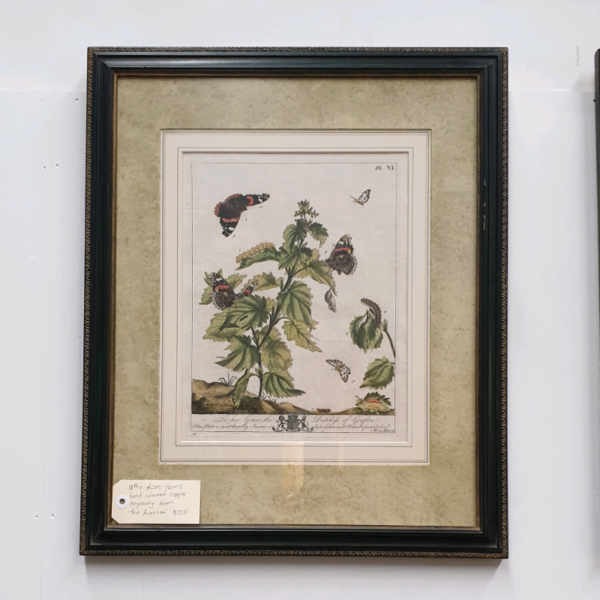 Moses Harris Hand Coloured Copper Engravings
