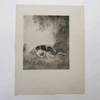 Norman Lindsay 'Robin Hood 1928 Photogravure Unframed